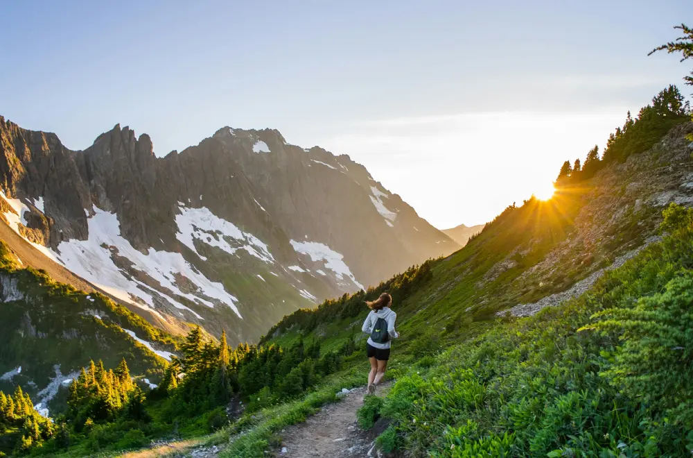 Mountain Trail Cleanup